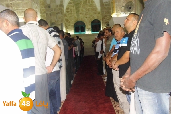 kaber trawe7 718 (5).JPG